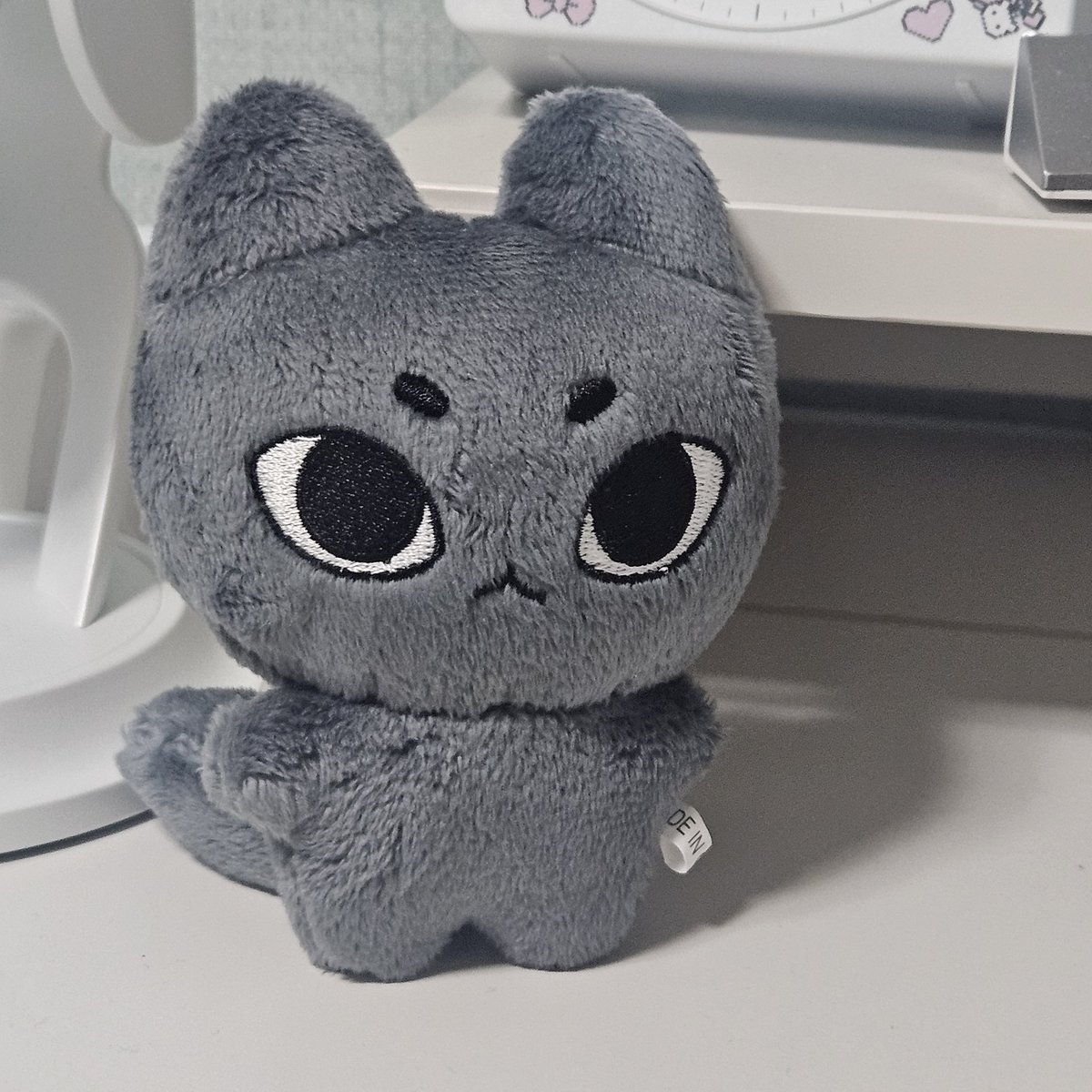 찐빵은 왈왈🌻 tweet media