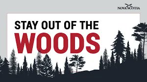 National Newswatch (@natnewswatch) on Twitter photo Nova Scotia’s fire ban isn’t overreach. It’s hard-earned wisdom. In a province where 97% of wildfires are human-caused, prevention isn’t optional, <a href="/FredDeLorey/">Fred DeLorey</a> writes. freddelorey.substack.com/p/nova-scotias…
Find out more at nationalnewswatch.com Nova Scotia’s fire ban isn’t overreach. It’s hard-earned wisdom. In a province where 97% of wildfires are human-caused, prevention isn’t optional, <a href="/FredDeLorey/">Fred DeLorey</a> writes. freddelorey.substack.com/p/nova-scotias…
Find out more at nationalnewswatch.com