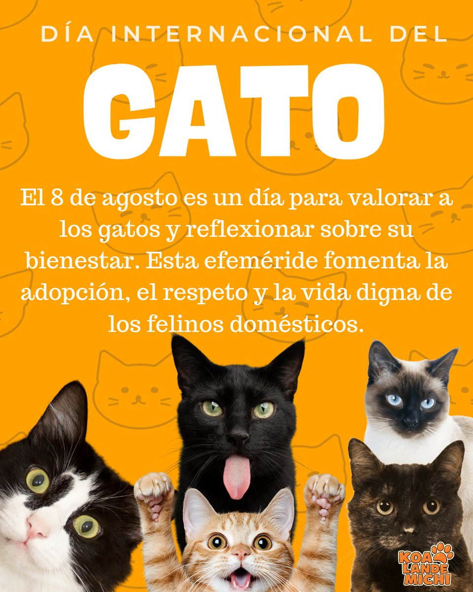 Feliz día Michis!!!

En está fecha se busca impulsar acciones concretas a favor del bienestar felino: fomentar la adopción responsable, prevenir el maltrato, difundir hábitos de cuidado y reforzar el vínculo emocional entre las personas y sus gatos.