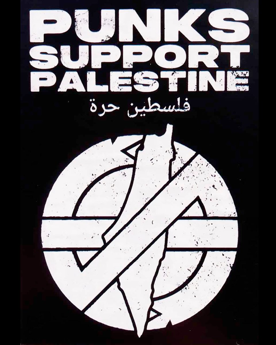 Solidaridad Infinita con el Pueblo Palestino!

Punks For Palestine.