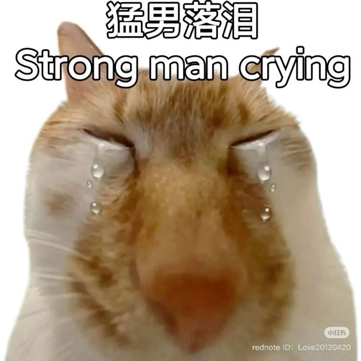 00chovo's tweet photo. test https://t.co/vvZKW31Qk6