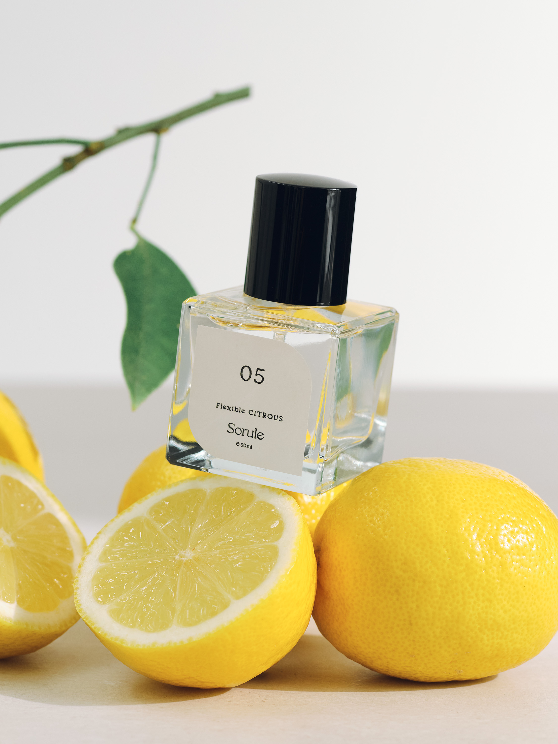 Sonule 香水セット 01-06 84518-103-