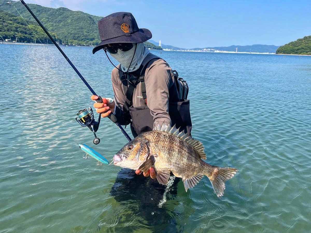 4495BM34's tweet photo. ジャスティーン115👍 https://t.co/I2vxJQES3C