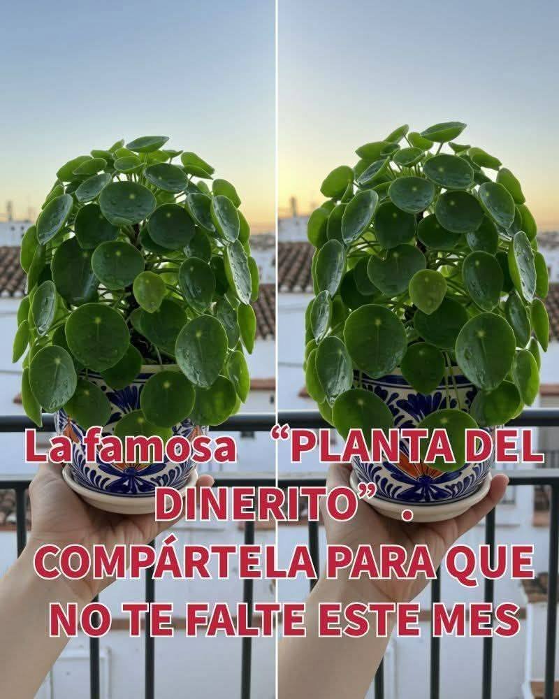 Así como trates está imagen te irá el resto del año 💸