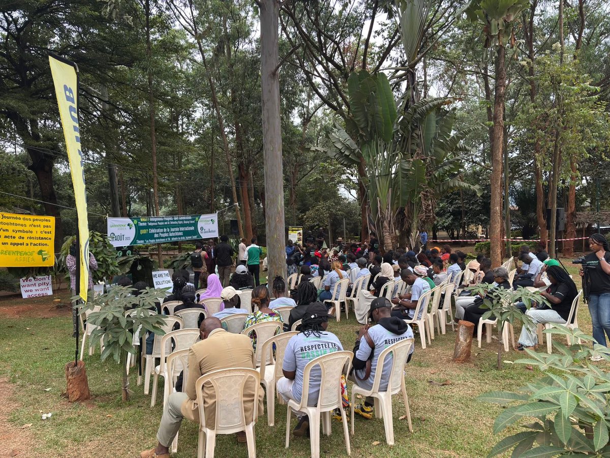 En direct de Yaoundé au Cameroun!🥳

Les communautés et Greenpeace Afrique célèbrent la Journée Internationale des Peuples Autochtones.

Nous célébrons leurs connexions profondes aux forêts du Bassin du Congo.