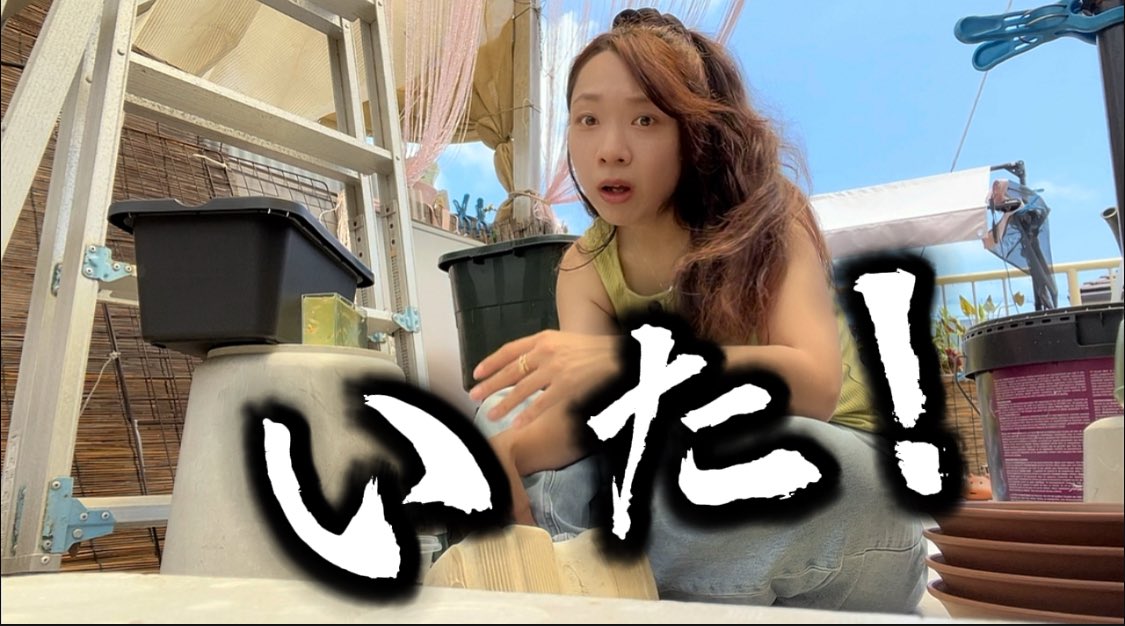 koko50482745's tweet photo. YouTube更新しました🍉

酷暑の8月に発見！改良中のメダカたちに起きた素晴らしい変化にびっくり仰天…

見てね(꒪ˊ꒳ˋ꒪)

https://t.co/TpqdP5d1O8 https://t.co/5wvj91Samp
