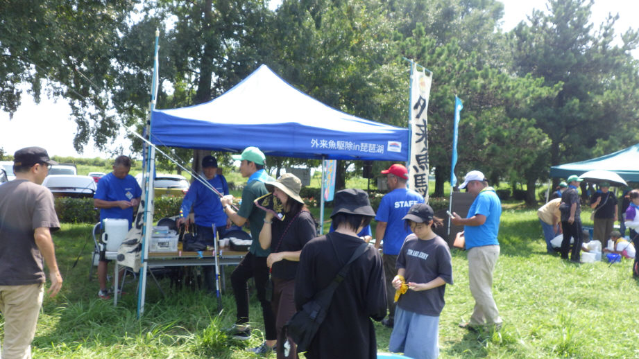 OsakaVolunteer's tweet photo. ＼ #環境 ／琵琶湖外来魚駆除大会🐟

在来魚保護のために #琵琶湖 の #外来魚 を駆除します！

日時：9/7(日) 10:00-15:00
場所：滋賀県草津市津田江1 (北) 湖岸緑地（最寄：JR琵琶湖線「草津」）
募集先：琵琶湖を戻す会 @modosukai

詳細
☞ https://t.co/Wquv0J3lMs

#N132 https://t.co/d6gWyezfGu