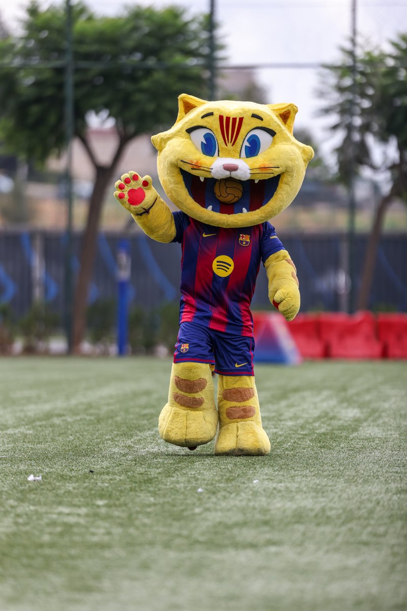 FCBarcelona_cat's tweet photo. Avui és el Dia Internacional del gat 🐱

T'estimem, Cat 🙌 https://t.co/iClzl4MTKg