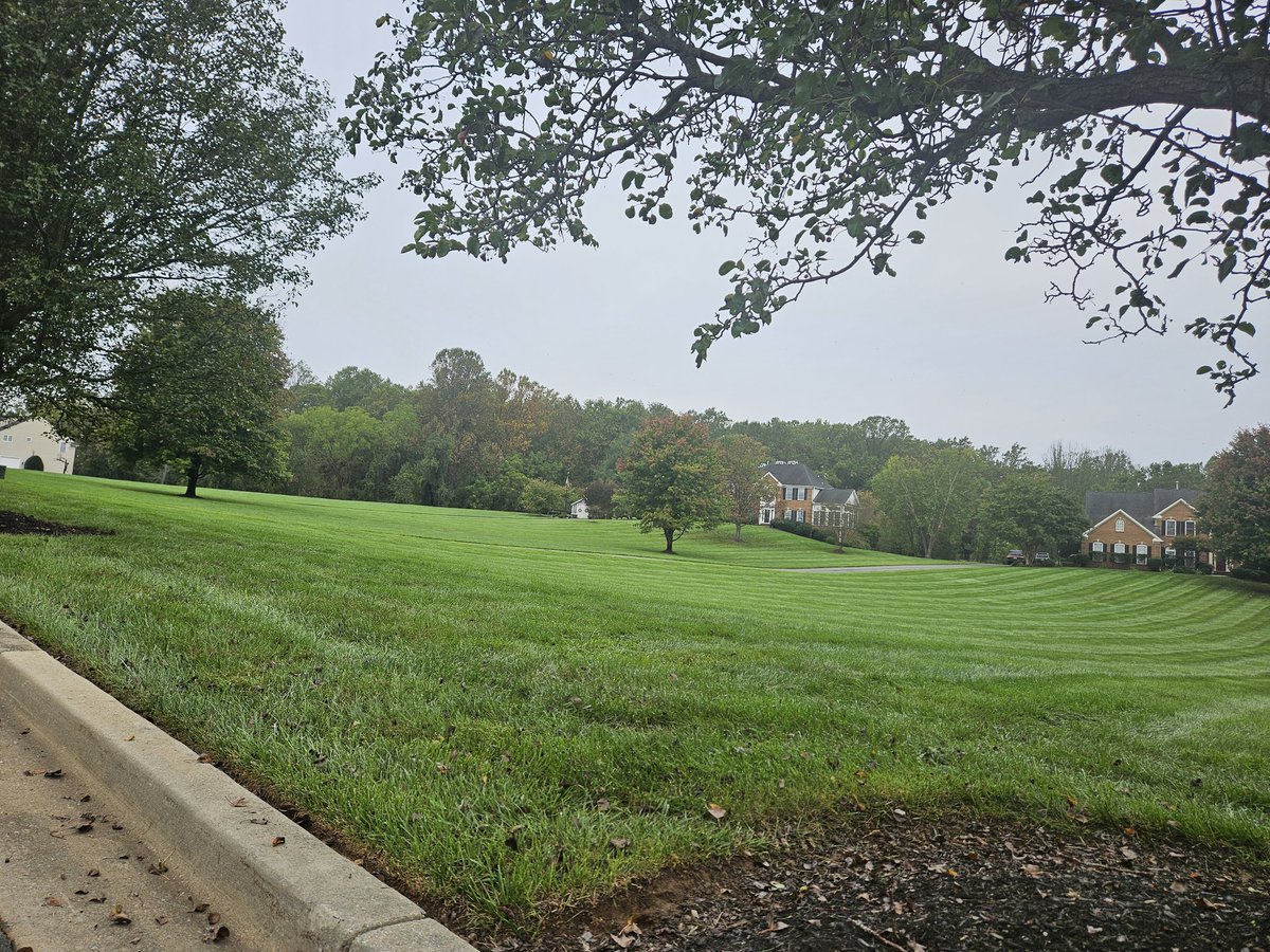 Buen día gente linda 🌳🌹😘
#FelizViernes