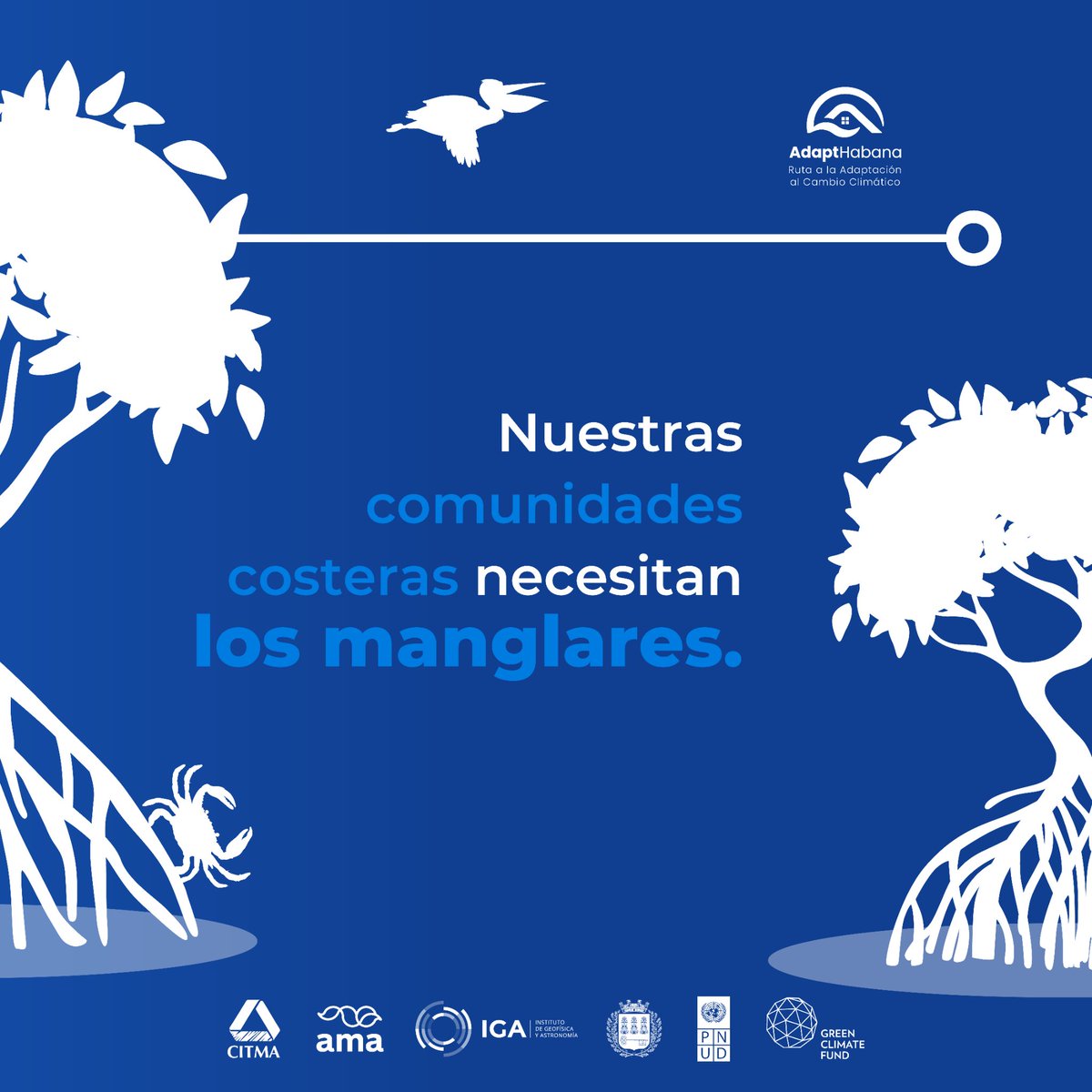 Quien siembra manglares recoge adaptación y vida.

Reducen el impacto de tormentas, frenan la erosión, capturan carbono y resguardan vidas.

Por eso, en #AdaptHabana consideramos clave su presencia en zonas costeras, y en el diseño de medidas de adaptación al cambio climático.