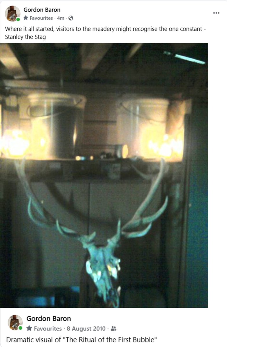 Memories are popping up thick &amp; fast! 🥰 Probably my 2nd/3rd brew in garage, first time Stanley made his appearance! He now maintains watch orchestrating chaos from the retail area of the meadery 🤣
#mead #AwardWinning #memories #whereitallbegan #nevergiveup #neverforget