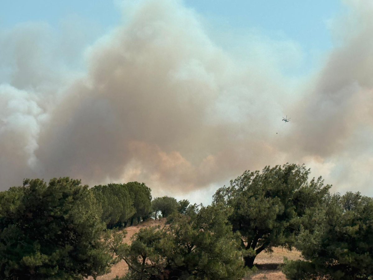 Çanakkale Belediyesi tweet media
