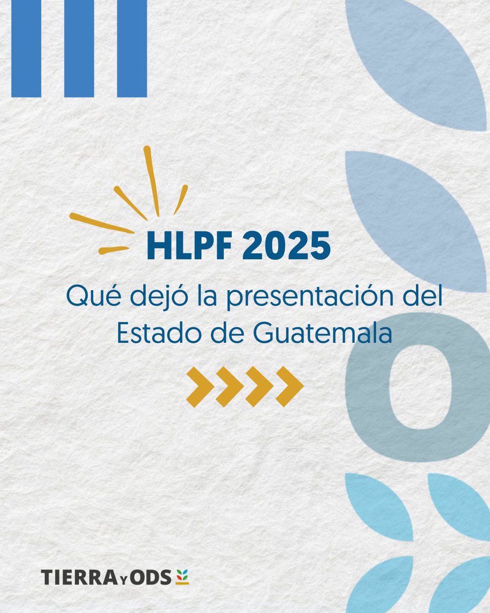 tierraYODS tweet media