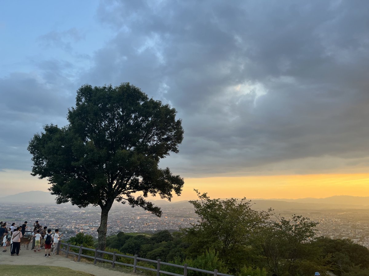 風が吹いて、気持ち良かったな。