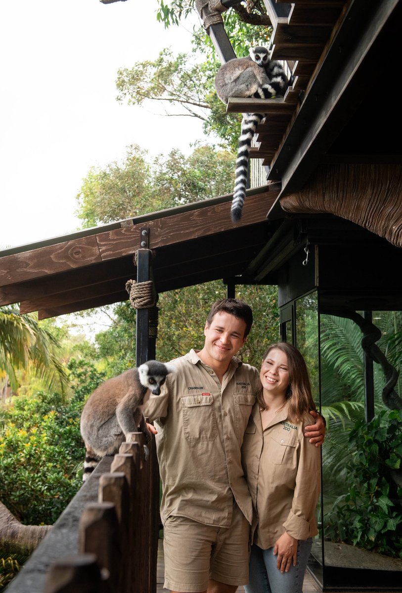 AustraliaZoo's tweet photo. Rainy day? We’ve got you covered here at #AustraliaZoo. 🩵

#Wildlife #Conservation #WildlifeConservation #Animal https://t.co/WieUYkFz3t