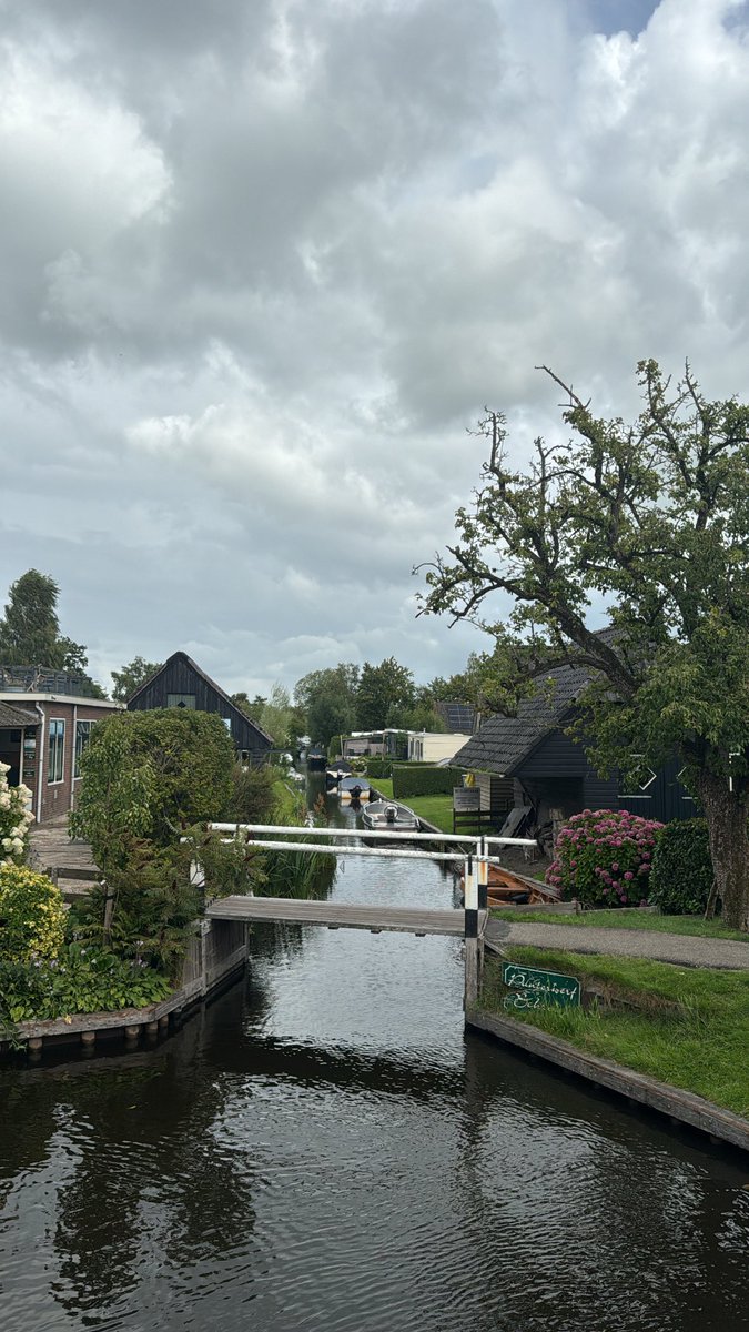 Abdullah Alanazi tweet media