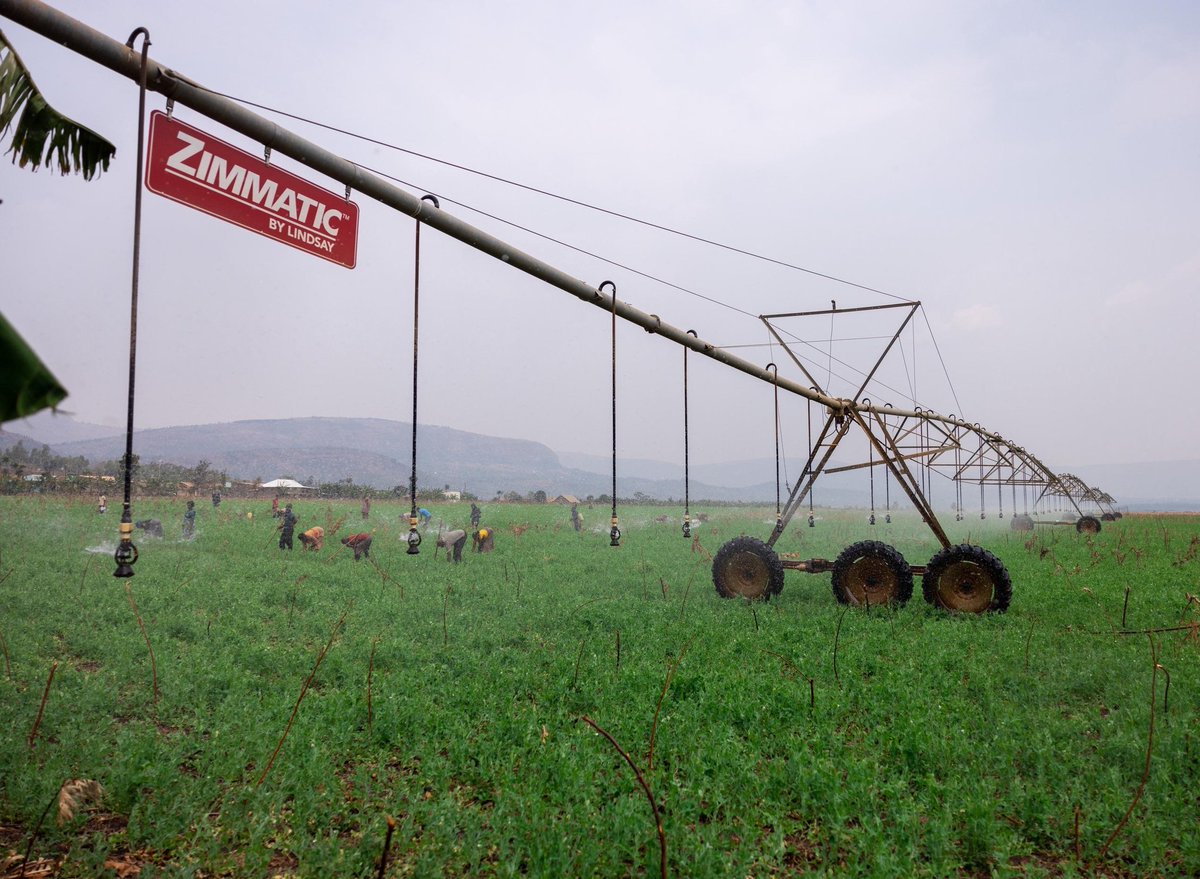 Office of the PM | Rwanda (@primaturerwanda) on Twitter photo Today, Prime Minister <a href="/Dr_JNsengiyumva/">Dr. Justin Nsengiyumva</a> began a two-day tour to assess progress on key agricultural projects
including Nasho Irrigation Project, Nyagatare Milk Powder Plant and Gabiro Agribusiness Hub (GAH), in Eastern Province. His visit kicked off this morning in Nasho Today, Prime Minister <a href="/Dr_JNsengiyumva/">Dr. Justin Nsengiyumva</a> began a two-day tour to assess progress on key agricultural projects
including Nasho Irrigation Project, Nyagatare Milk Powder Plant and Gabiro Agribusiness Hub (GAH), in Eastern Province. His visit kicked off this morning in Nasho