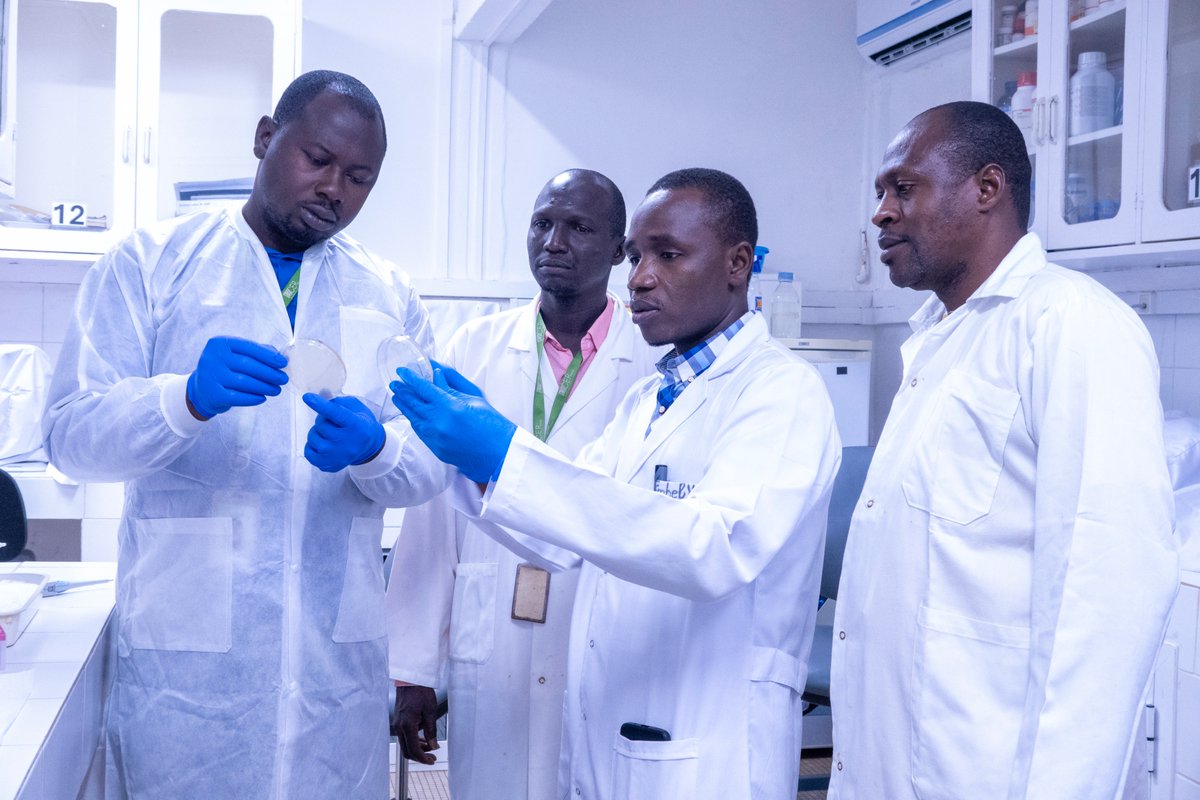 ACEME AFRICA tweet media