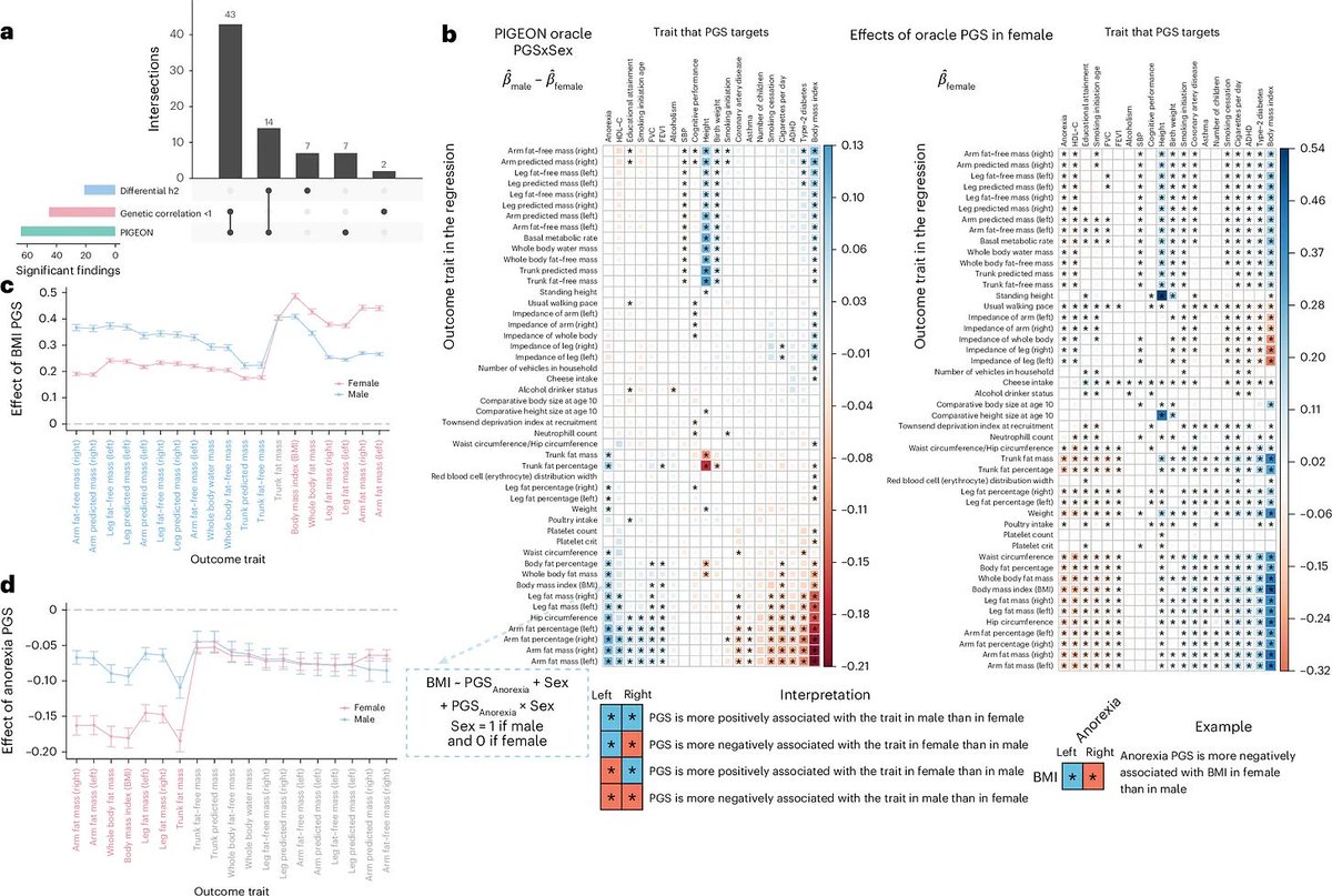 strnr's tweet image. Weekly Recap (Aug 2025, part 2): Metagenome assembly from nanopore reads, AI for single-cell analysis, GxE + epistasis in a vertebrate model, estimating GxE for polygenic traits, long-read alignment, agents, nf-core, ... doi.org/10.59350/004y6… #Rstats #nextflow 🧬🖥️🧪
