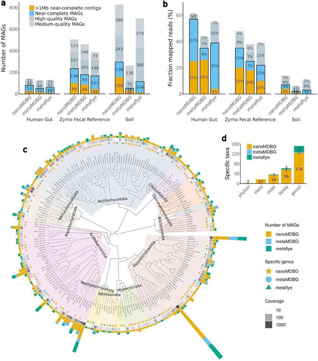 strnr's tweet image. Weekly Recap (Aug 2025, part 2): Metagenome assembly from nanopore reads, AI for single-cell analysis, GxE + epistasis in a vertebrate model, estimating GxE for polygenic traits, long-read alignment, agents, nf-core, ... doi.org/10.59350/004y6… #Rstats #nextflow 🧬🖥️🧪