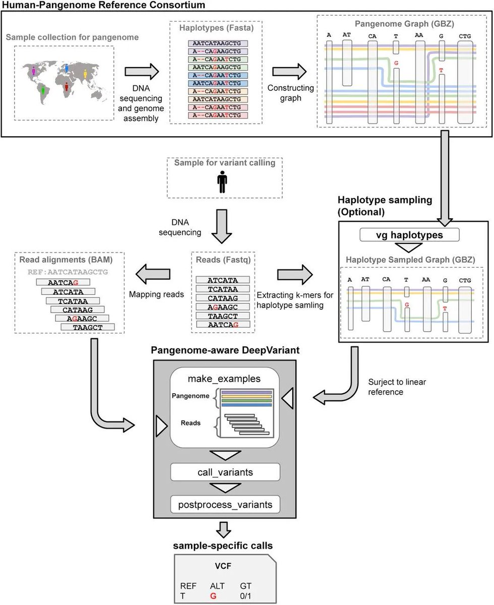 strnr's tweet image. Weekly Recap (Aug 2025, part 2): Metagenome assembly from nanopore reads, AI for single-cell analysis, GxE + epistasis in a vertebrate model, estimating GxE for polygenic traits, long-read alignment, agents, nf-core, ... doi.org/10.59350/004y6… #Rstats #nextflow 🧬🖥️🧪