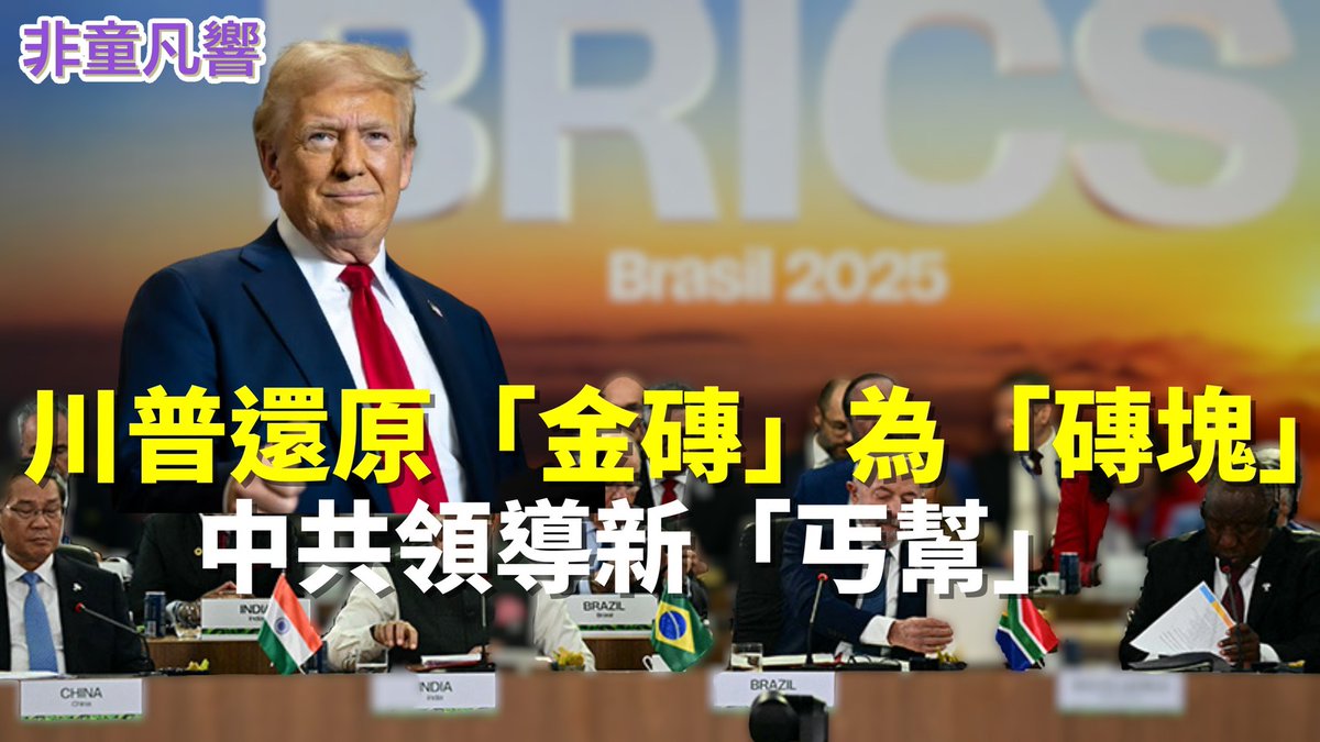 父親節快樂！但是從金磚變成磚塊的五個國家，應該快樂不起來。中共成丐幫幫主？高關稅等於失去美國市場，磚塊五國可以抱團取暖內循環？｜2025.8.8【非童凡響】
youtu.be/JBOt0w5i3P0