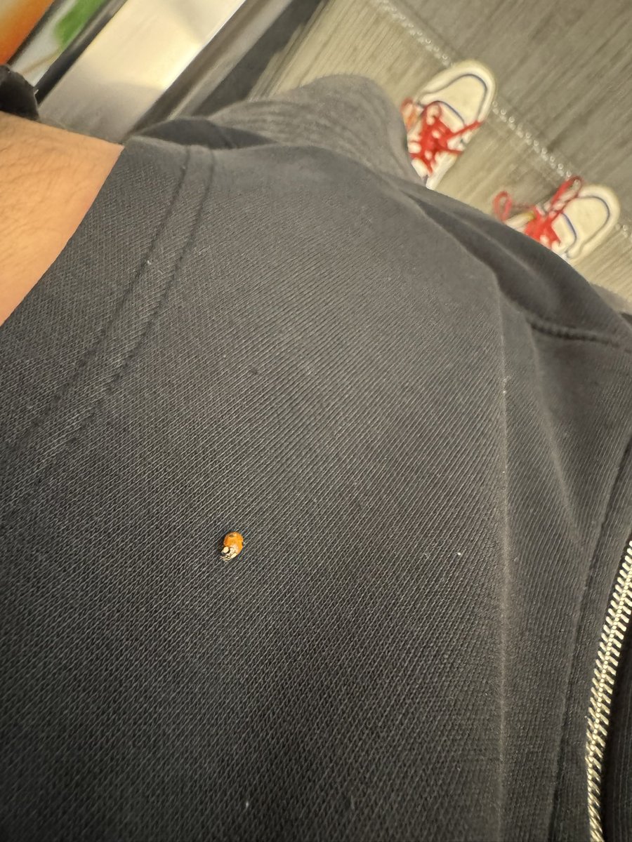 NiceNameBro's tweet photo. got myself a lil ahh companion https://t.co/ZWOF1QG01T