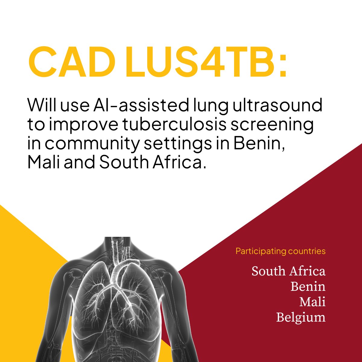 EDCTP3's tweet photo. 🌐 Discover the new projects that will develop, improve and scale-up innovative #digital health solutions for sub-Saharan Africa
#CAD_LUS4TB: https://t.co/s1Ayva7X5I
#MultiplexAI: https://t.co/ILSeYJGG5G
#SkincAIr: https://t.co/aJAwEXBgay
#NewProjects25 https://t.co/UXdkad4iaF
