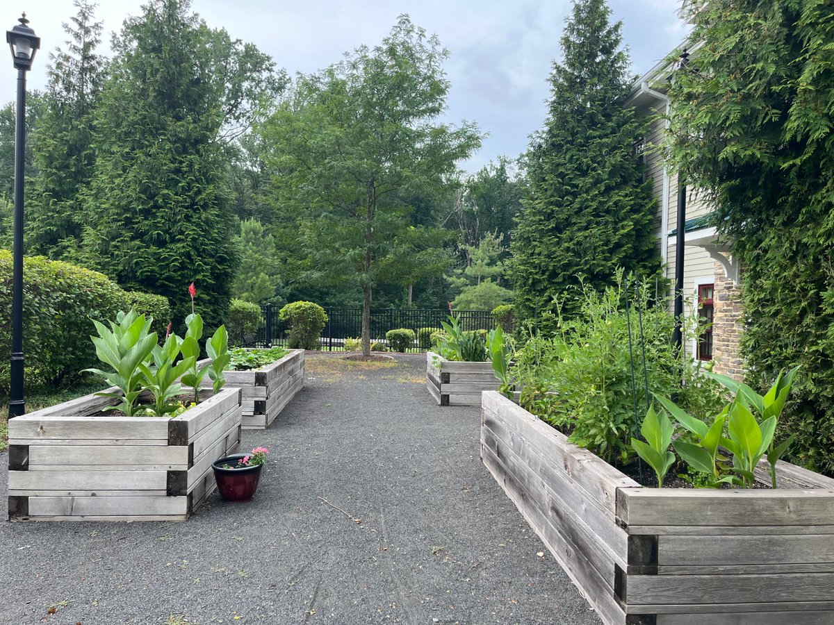 Parker at Monroe's horticulture program has been in full swing! We especially love the radishes they grew straight from their own garden.