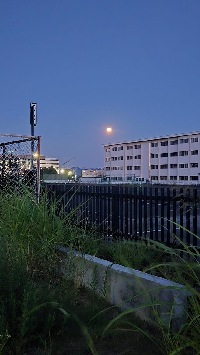 🐥告知🐥
ちっぴぃちゃんズ主催ライブ開催‼️

「元○○芸人　恋バナ座談会」
日時:8/21(木) 18:30-19:30
会場：大阪城グルメEXPO　UTAGEステージ
料金:前売り当日ともに2000円 ※1ドリンク付(ソフトドリンクのみ)

▼チケット購入
ticket.fany.lol/reception/1942…

※今回置きチケが出来ません