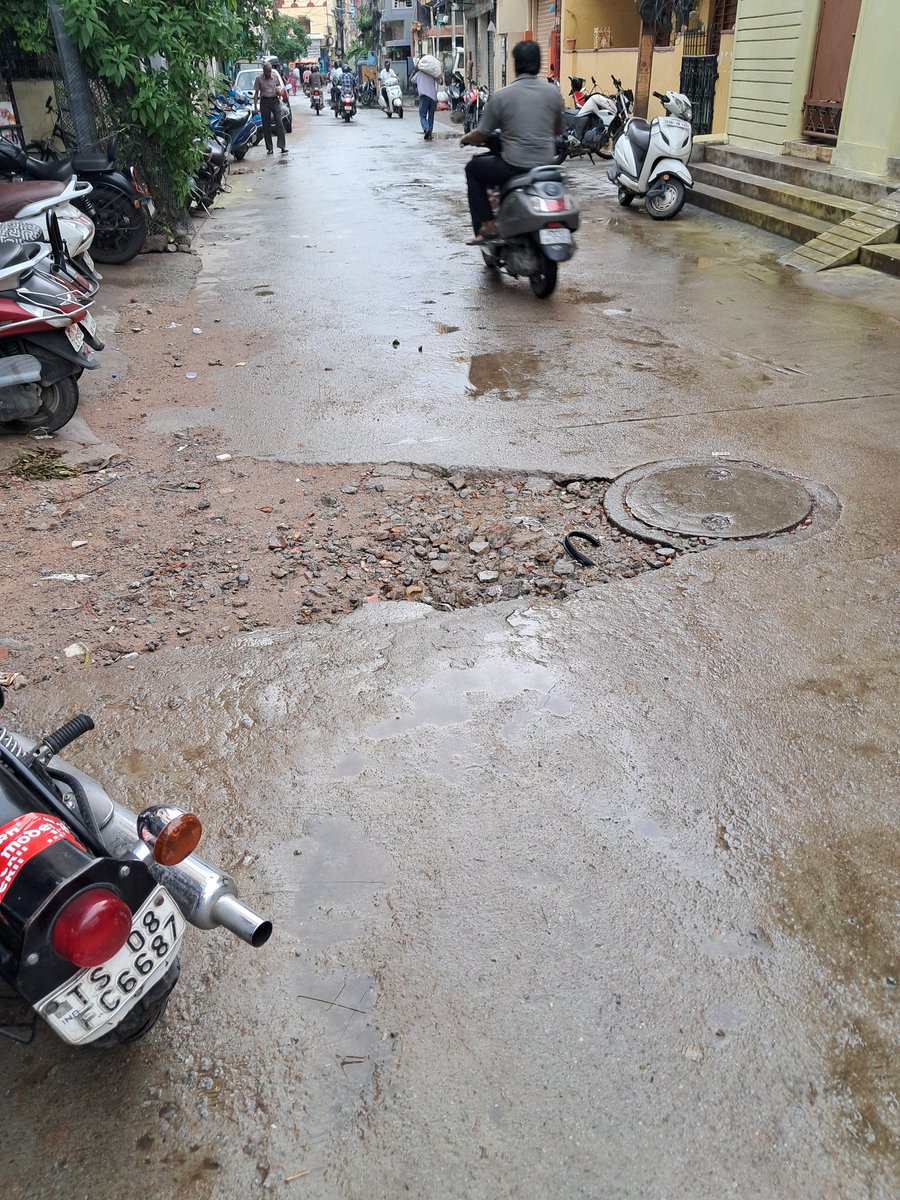 Krishna Chaitanya 🌳♻️ tweet media