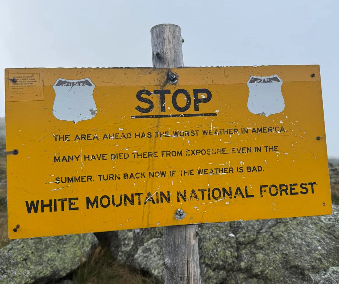 Mike Lawler tweet media