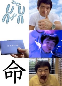 この画像まだ面白い