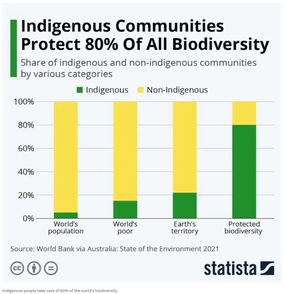Saamelainen ilmastoneuvosto, Saami Climate Council tweet media
