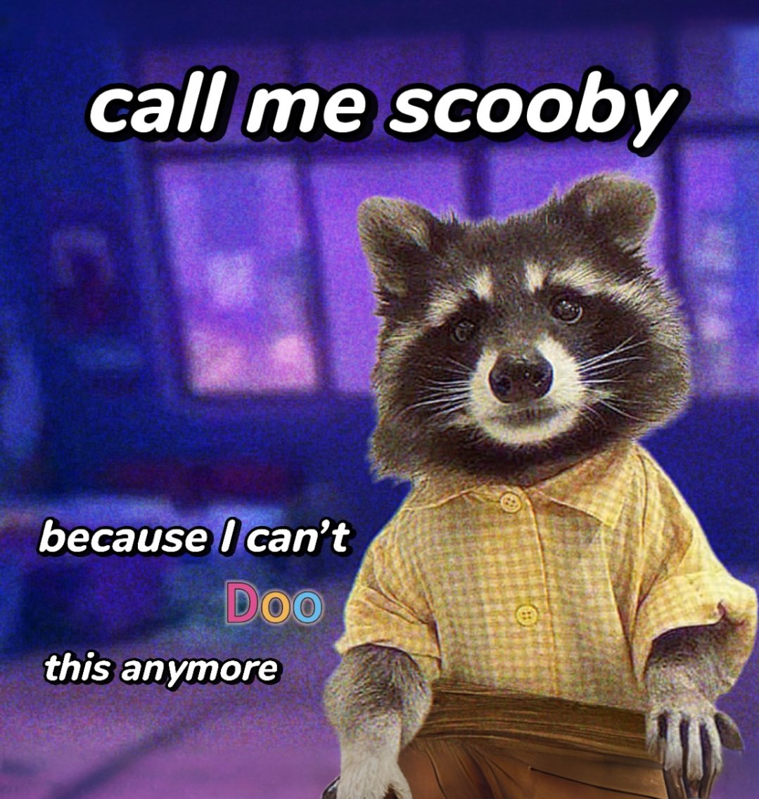 raccoon aesthetic. (@raccoonesthetic) on Twitter photo 