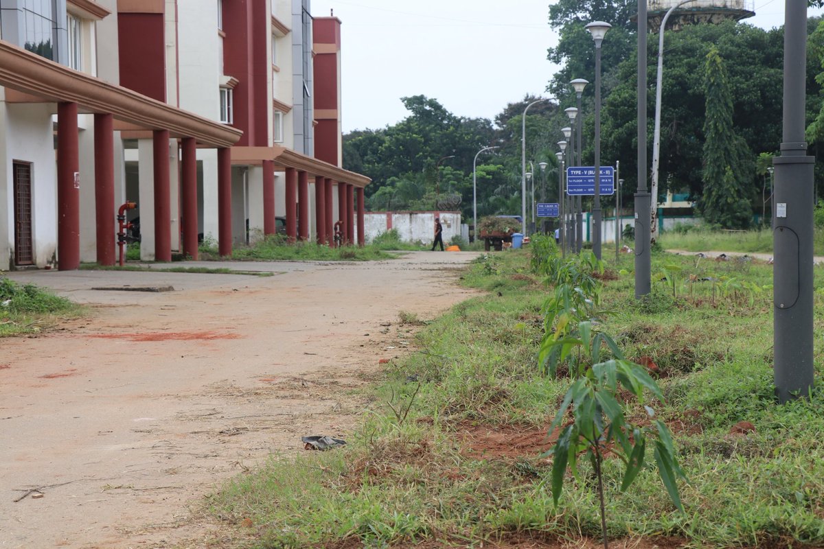 CIPRANCHIINDIA's tweet photo. Plantation Drive on 5th August, 2025 was launched in CIP Residential Quarters by Dr. V K Chaudhary, Director CIP and green belt will be prepared by planting Ashoka plants. https://t.co/zoaX5Y65gs