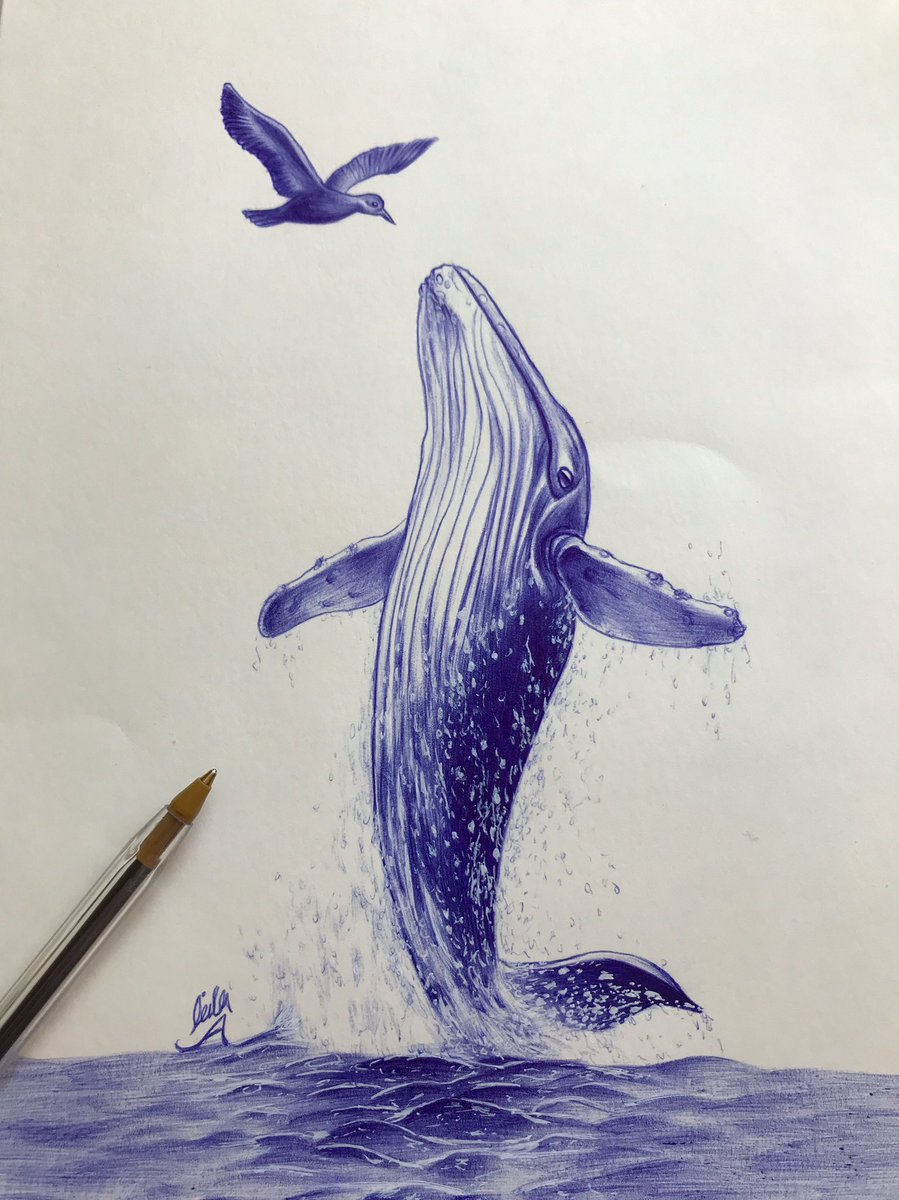 LeilaArt97's tweet image. Gm and happy Friday ☕️💖

🐋Taking flight 

🐋3.5 $xtz

#skurpy 
#tezosart 

skurpy.com/marketplace/co…