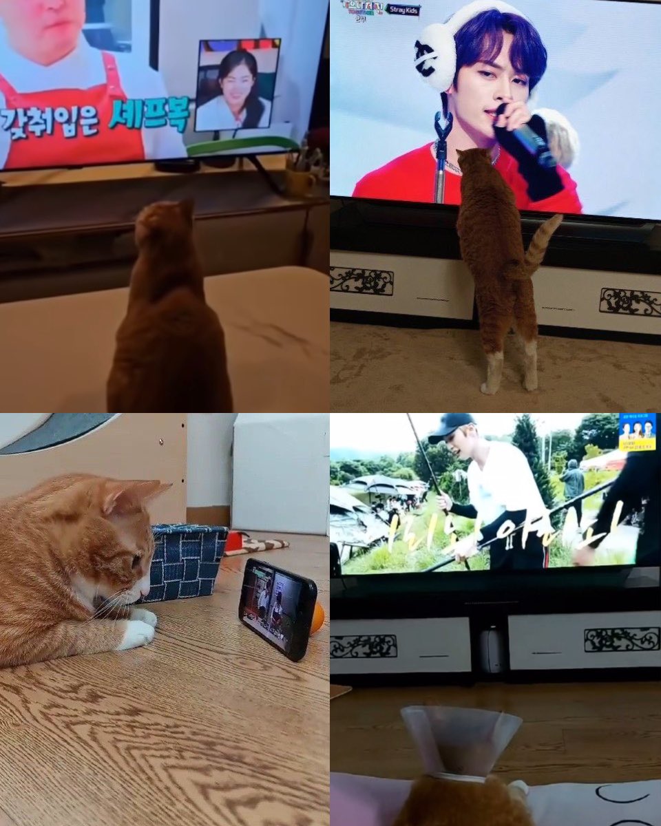 lknyangie's tweet image. when you're in the biggest leeknower competition and your opponent is soonie