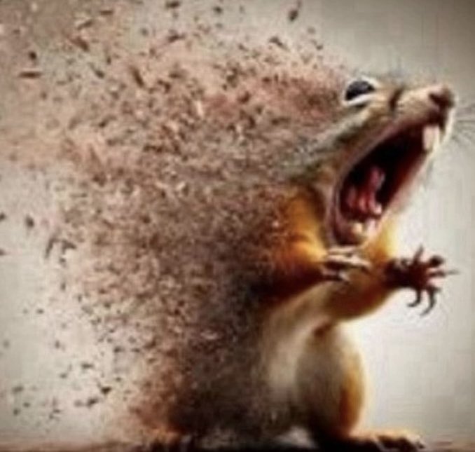 yukiclvr's tweet image. saw weapons last night… im gonna kms