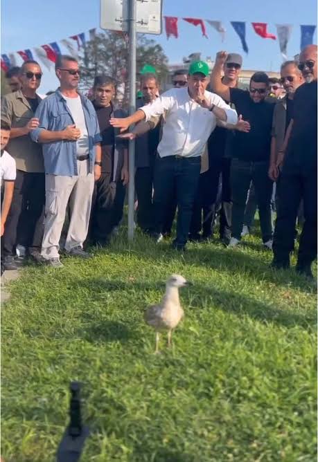 Kerem Aktürkoğlunun 4 yılını p*ç eden Abdullah Avcı babaya bizim saygı,hürmet…
#keremaktürkoğlu #Galatasaray #PolisTükendi