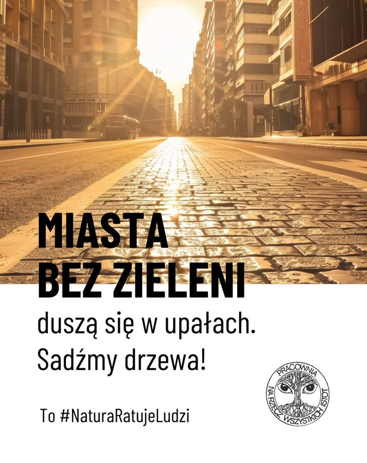 ☀️ Asfalt w słońcu: 52°C
🌱 Trawnik: 35°C
🌳 Cień drzewa: 28°C
Miasta bez zieleni duszą się w upałach.
Takie #MiejskieWyspyCiepła to koszmar.
Zmieńmy to! 👉 #NaturaRatujeLudzi #NRL #NatureRestorationLaw