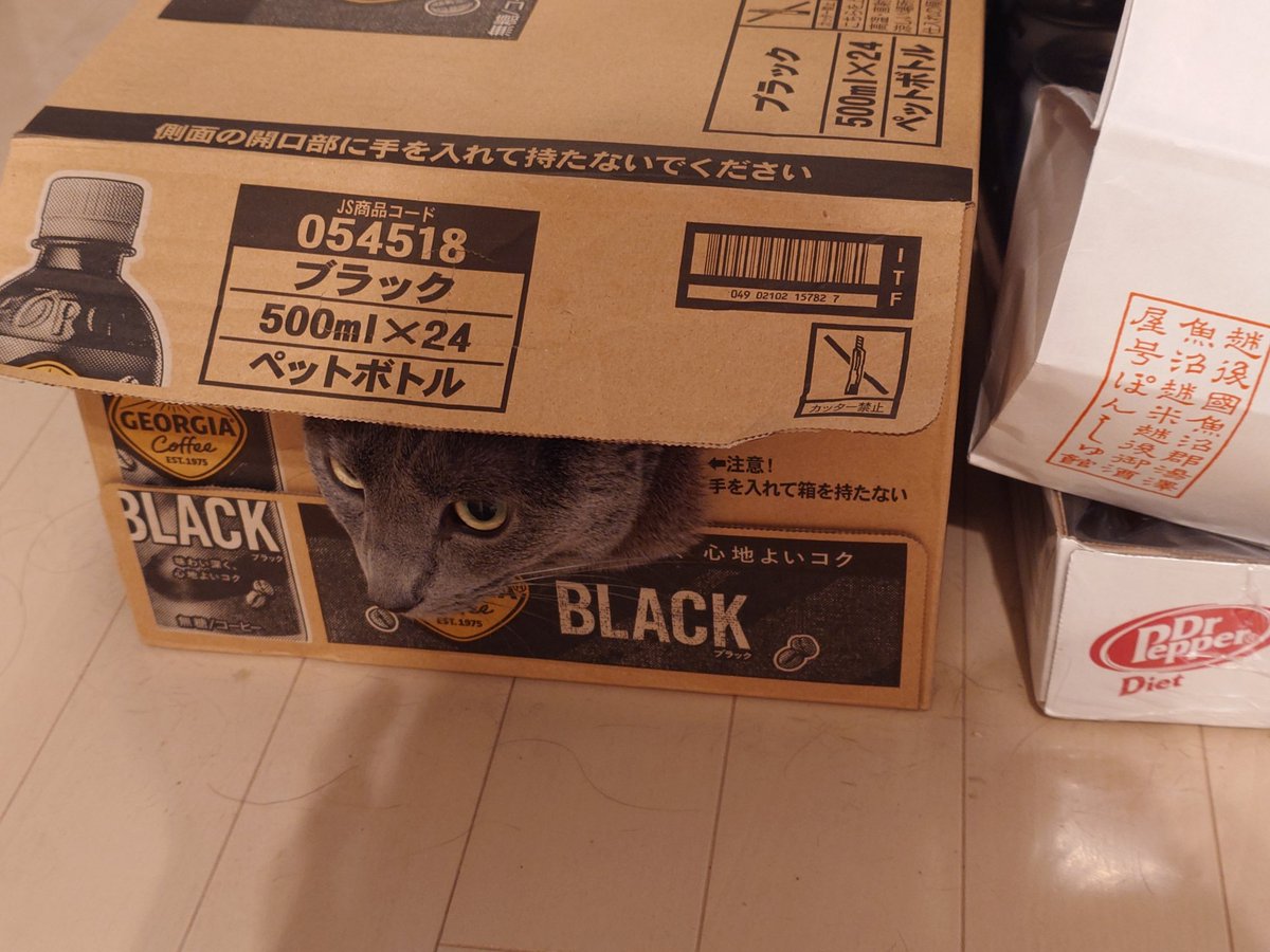 いちごみるくページ SH_F1GA250862_XL.jpg