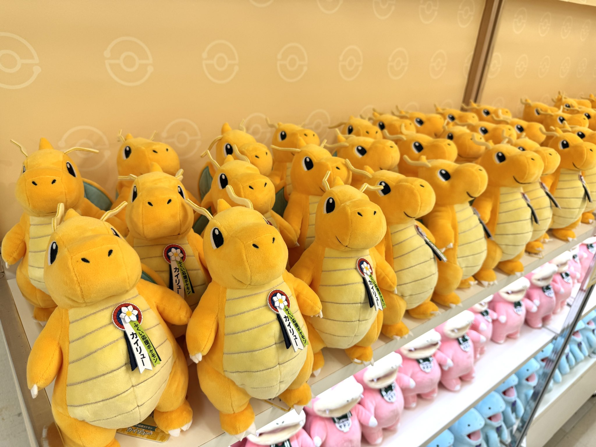 HITACHIふれあい祭02/夏　ポケモン抽選キット/ぬいぐるみ 51gBP0dScAL._UF350,350_QL50_.jpg