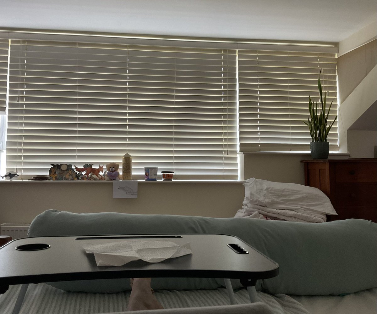 Kirsty Schnickelfritz tweet media