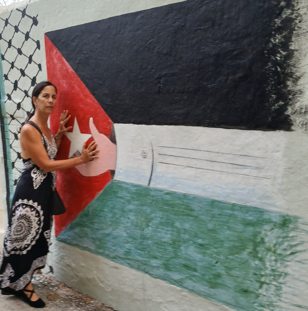 UPTCERCuba's tweet photo. #CubaEstáConPalestina
#Solidaridad ConPalestina https://t.co/4S7yFFgvdw