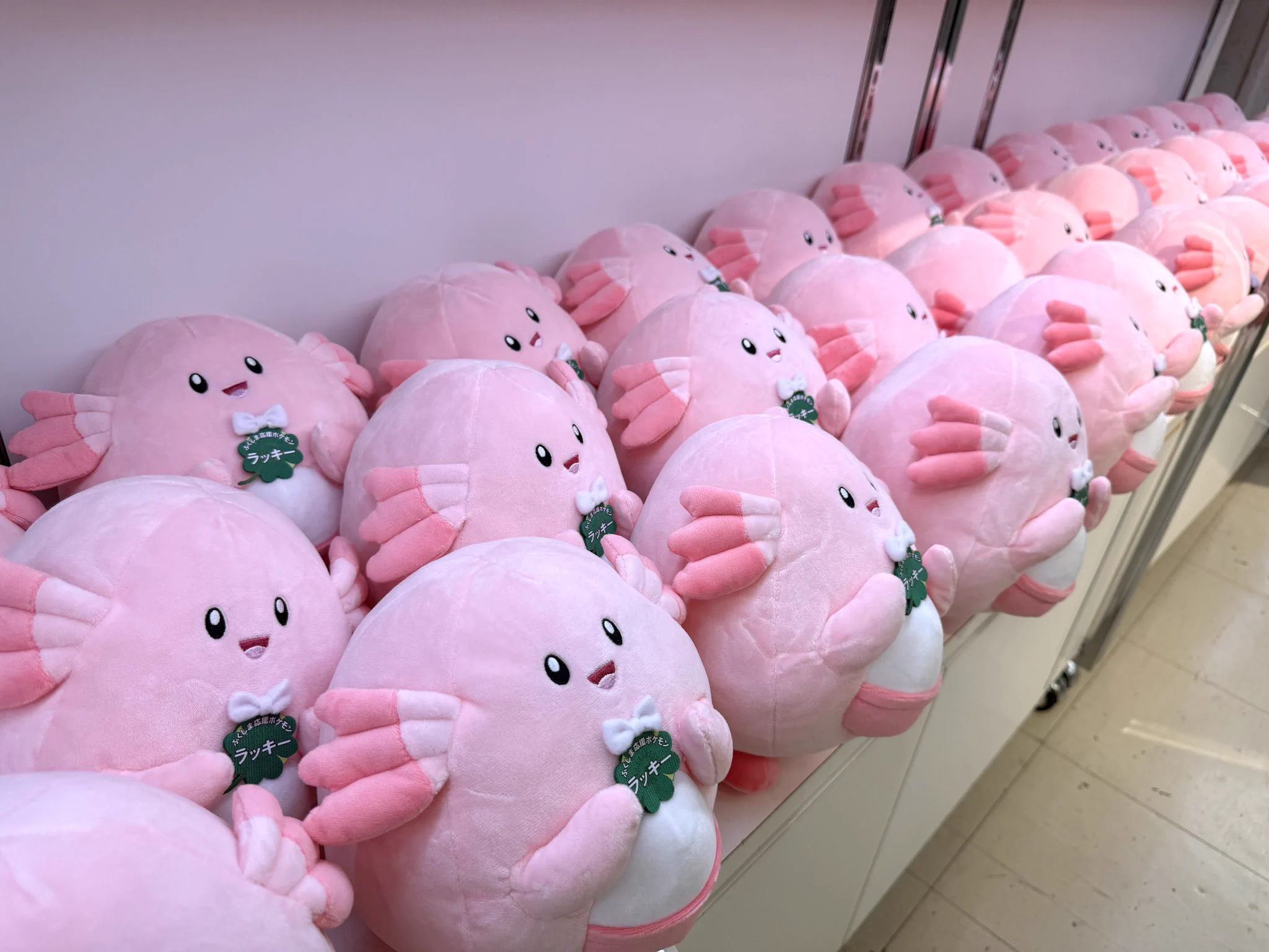 ポケモンだいすきクラブ編集部【公式】 on X: 