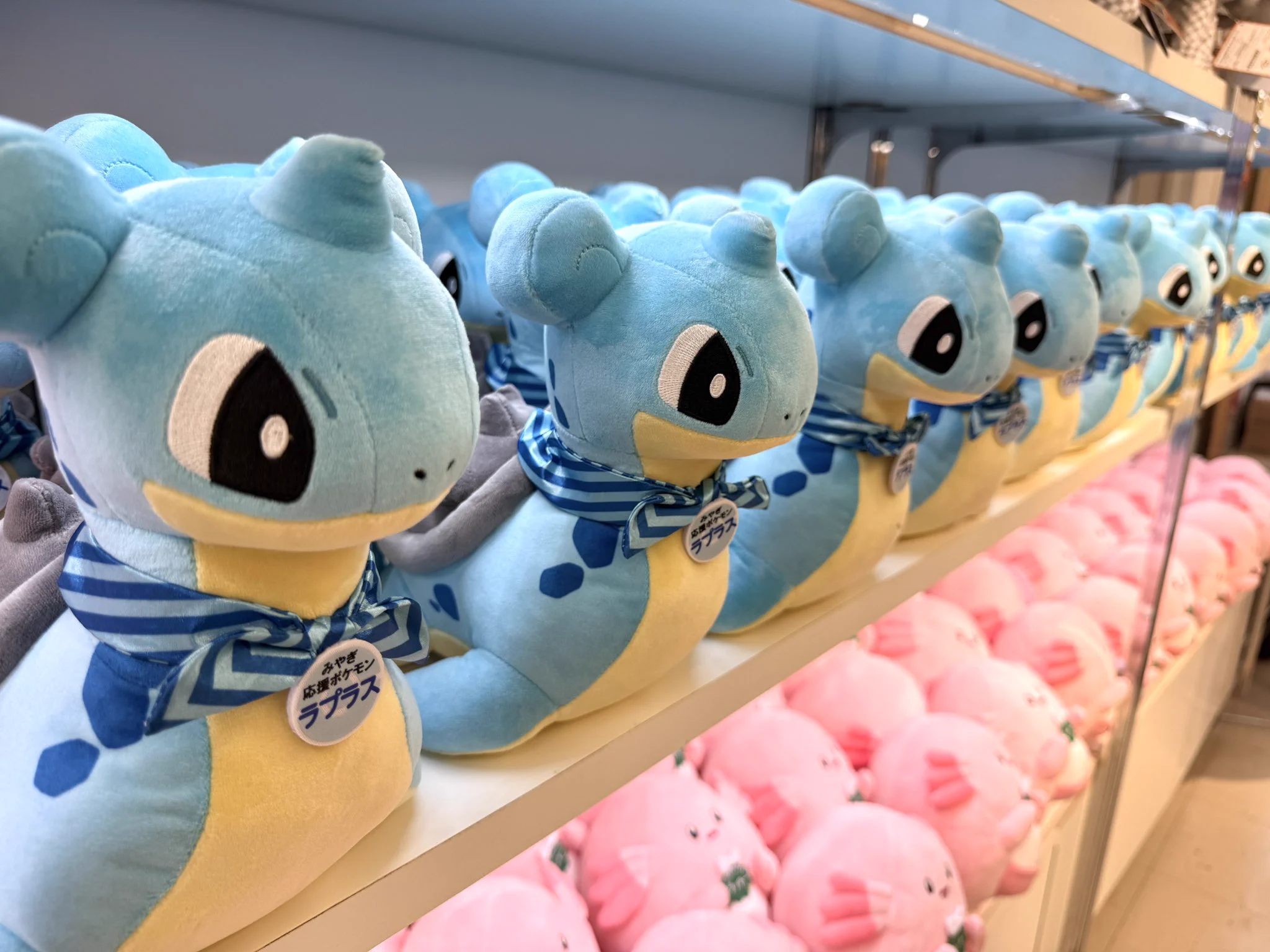 ポケモンだいすきクラブ編集部【公式】 on X: 