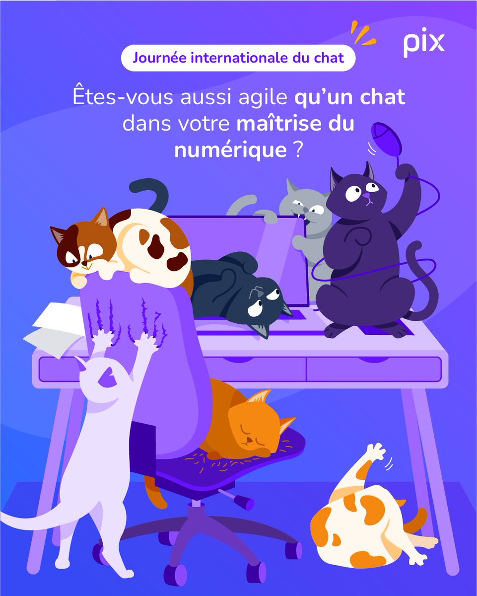 🐱 Ils marchent sur nos claviers et adorent passer devant la caméra en visio… C’est la #JourneeInternationaleDuChat  !
Êtes-vous aussi agile d’un chat dans votre maîtrise du numérique ? Dans nos questions sur Pix aussi, on célèbre nos amis félins. ➡️ app.pix.fr/challenges/rec…