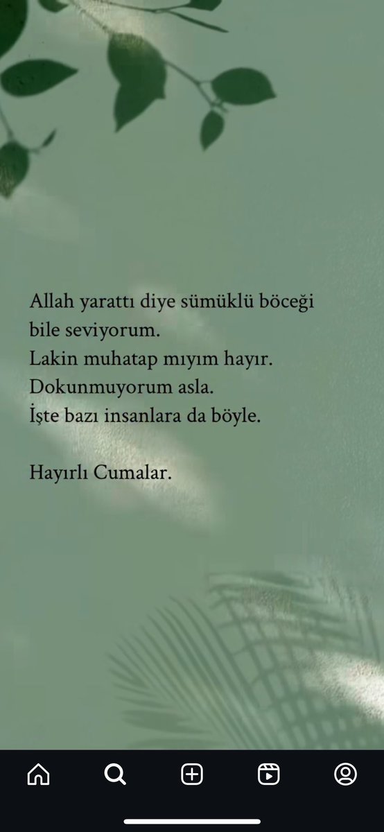 FeyzaGulle's tweet photo. 🪴 https://t.co/mcRe0T1wn7