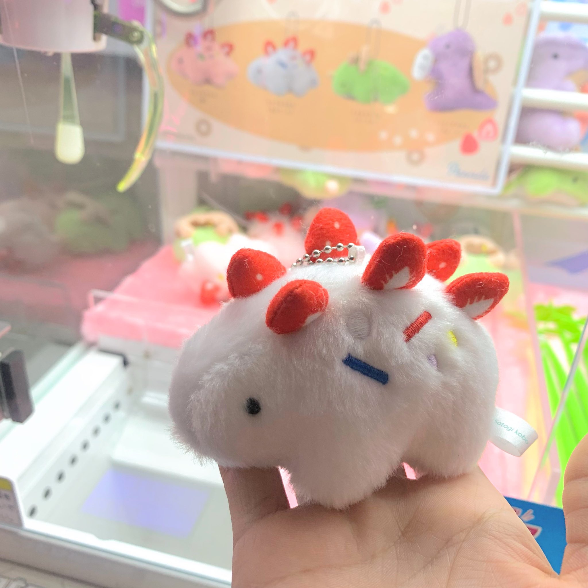 ぬいぐるみ　作家 AyumiUrayama (@rainbowpockets) • Instagram photos and videos